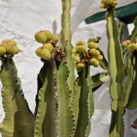 Small Cozy House Susana *