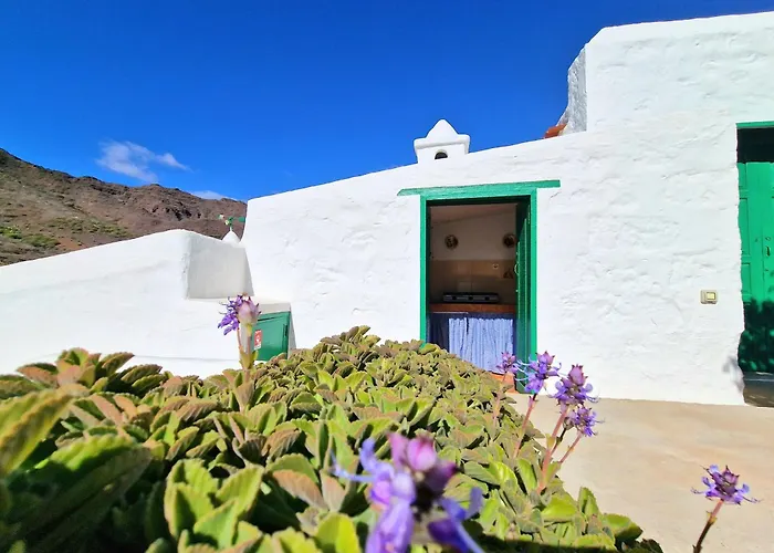 Small Cozy House Susana Mogan